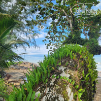 фото из отзыва ID 2731726