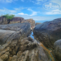 фото из отзыва ID 2731726