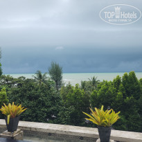 фото из отзыва ID 2731726