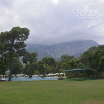 фото из отзыва ID 2731740