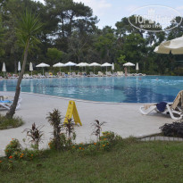 фото из отзыва ID 2731740