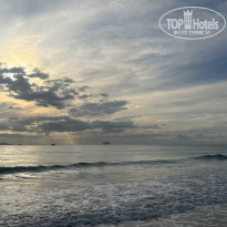 фото из отзыва ID 2731775