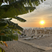 фото из отзыва ID 2731779