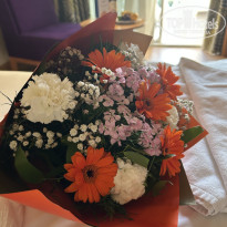 фото из отзыва ID 2731779