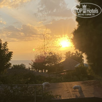 фото из отзыва ID 2731824