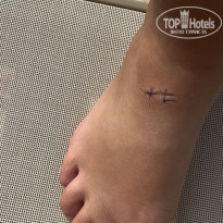 фото из отзыва ID 2731843