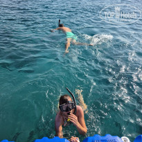 фото из отзыва ID 2731865