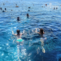 фото из отзыва ID 2731865