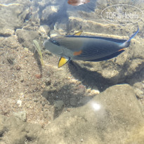 фото из отзыва ID 2731865