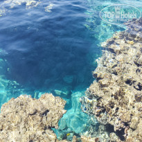 фото из отзыва ID 2731865