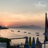 фото из отзыва ID 2731865