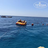 фото из отзыва ID 2731865