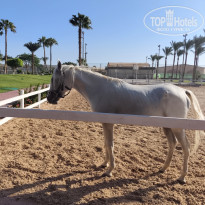 фото из отзыва ID 2731865