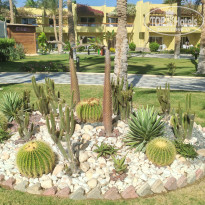 фото из отзыва ID 2731855