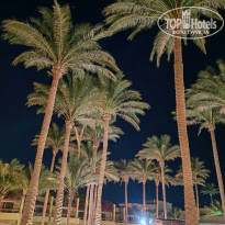 фото из отзыва ID 2731855