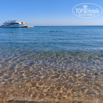 фото из отзыва ID 2731855