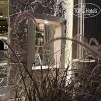 фото из отзыва ID 2731869