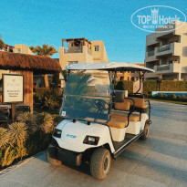 фото из отзыва ID 2731869