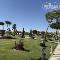 фото из отзыва ID 2731869