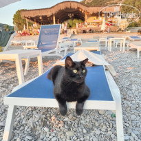 фото из отзыва ID 2731891