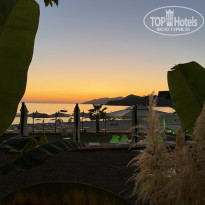 фото из отзыва ID 2731891