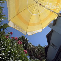 фото из отзыва ID 2731891