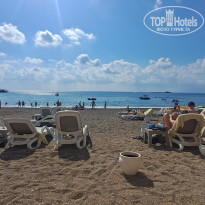 фото из отзыва ID 2731901