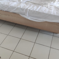 фото из отзыва ID 2731911