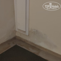 фото из отзыва ID 2731911