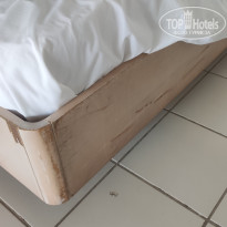 фото из отзыва ID 2731911