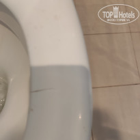 фото из отзыва ID 2731911