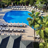 фото из отзыва ID 2731915