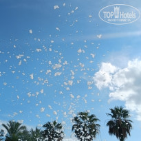 фото из отзыва ID 2731916