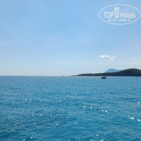 фото из отзыва ID 2731916