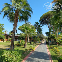 фото из отзыва ID 2731916