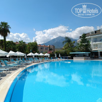 фото из отзыва ID 2731916