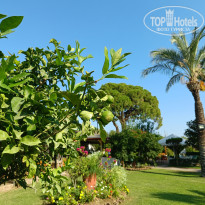 фото из отзыва ID 2731916