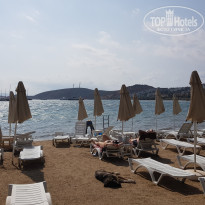 фото из отзыва ID 2731917