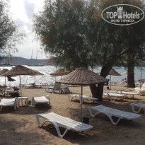 фото из отзыва ID 2731917