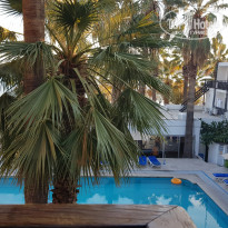 фото из отзыва ID 2731917