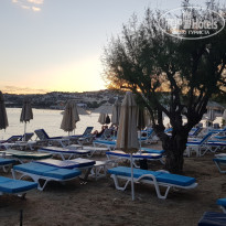 фото из отзыва ID 2731917