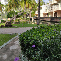 фото из отзыва ID 2731919