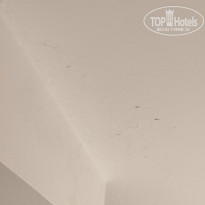 фото из отзыва ID 2731930