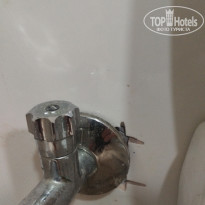 фото из отзыва ID 2731930