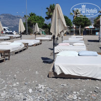 фото из отзыва ID 2731932