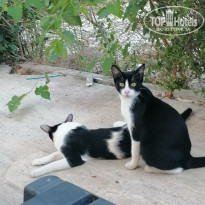 фото из отзыва ID 2731939