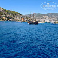 фото из отзыва ID 2731941