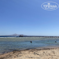 фото из отзыва ID 2731953