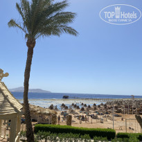 фото из отзыва ID 2731953