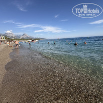 фото из отзыва ID 2730231